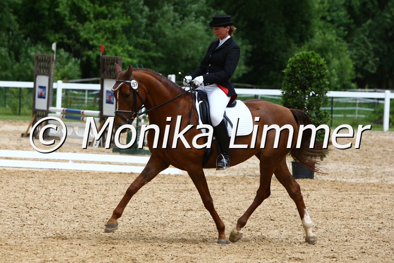 006M5301_Dressurpferde L.JPG